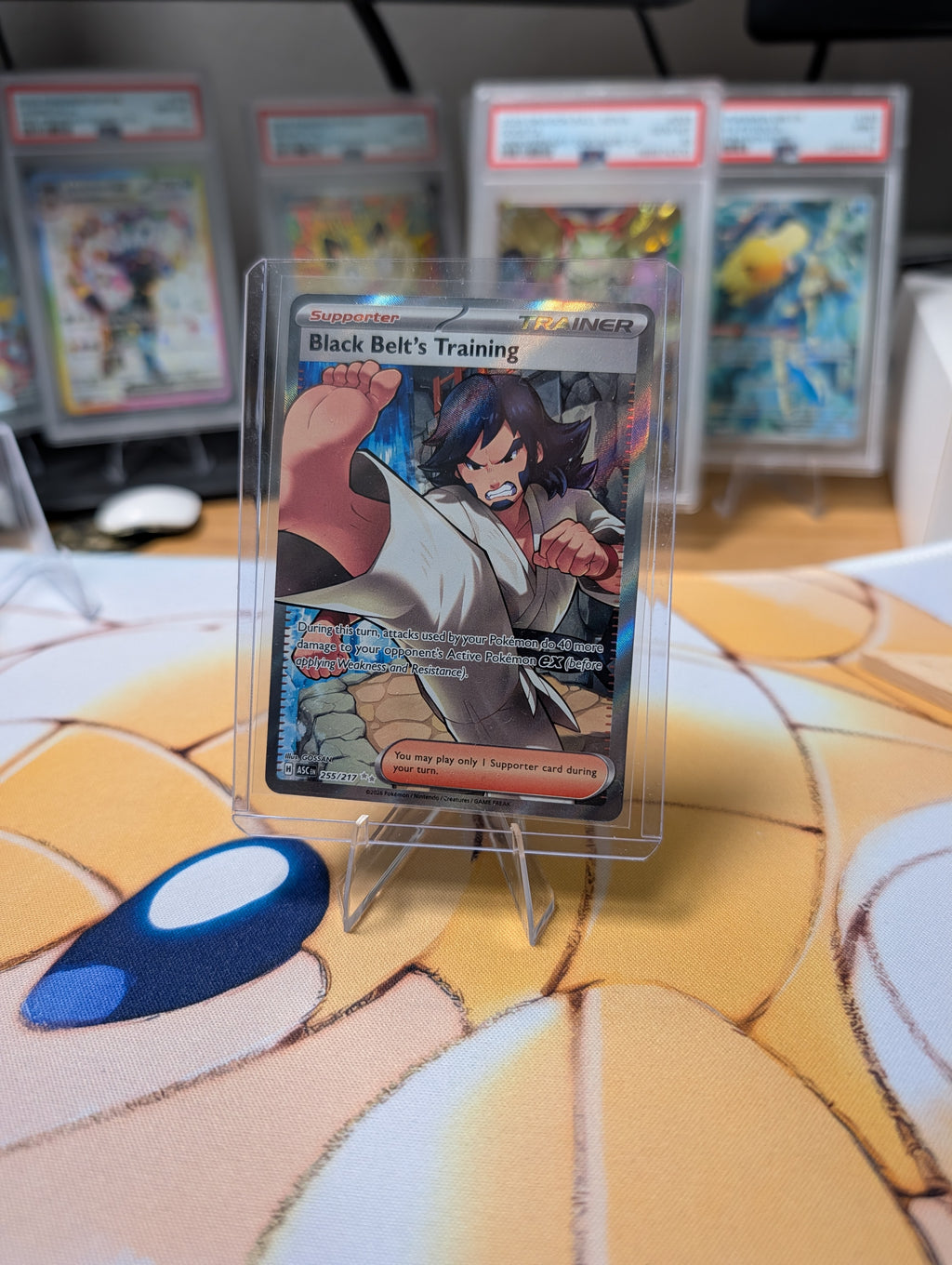Black Belt's Training 255/217 — Ascended Heroes (English)