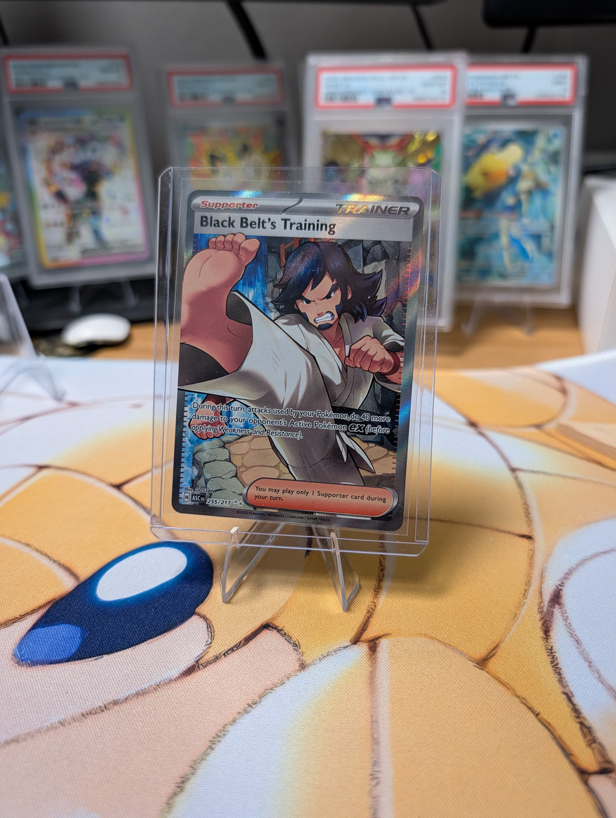 Black Belt's Training 255/217 — Ascended Heroes (English)